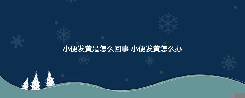 600体器官肾脏扁平风医疗插画（企业商用）.jpg