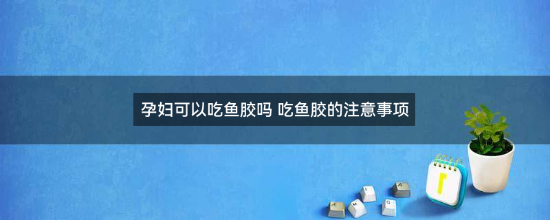 摄图网_500901565_banner_黄花胶鱼胶干货野生鱼肚鱼鳔（企业商用）.jpg