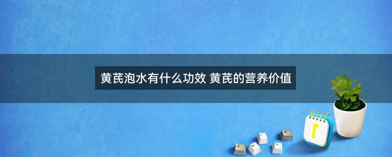 摄图网_501578377_banner_中药黄芪（企业商用）.jpg